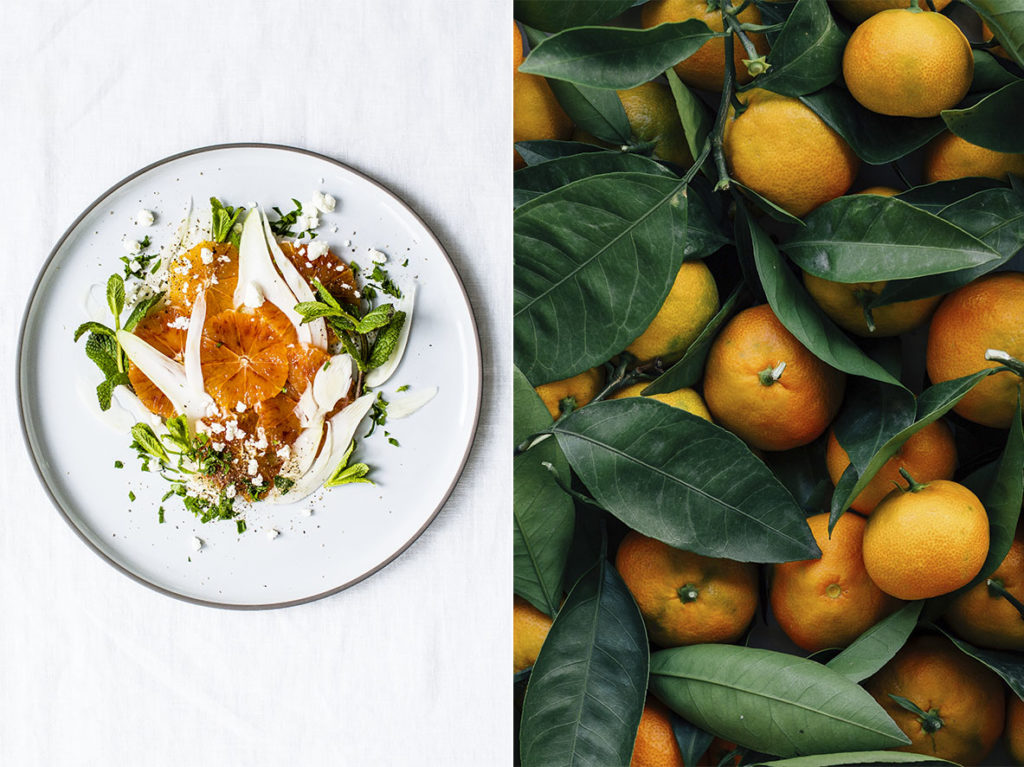 Zwischen Spät-Winter und Früh-Jahr: Orangensalat mit Fenchel – Chestnut ...